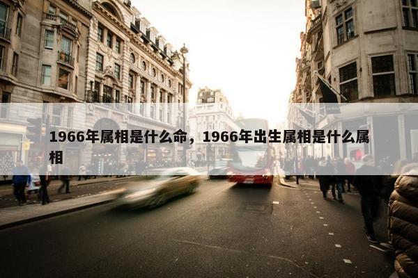 1966年属相是什么命，1966年出生属相是什么属相