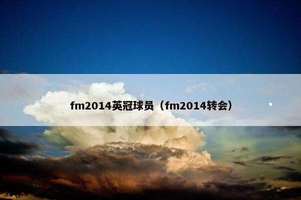 fm2014英冠球员（fm2014转会）