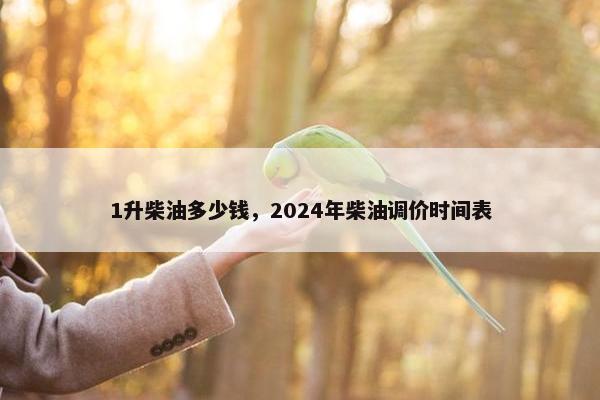 1升柴油多少钱，2024年柴油调价时间表