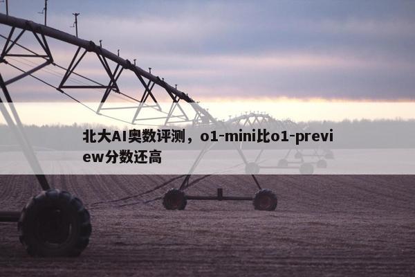 北大AI奥数评测，o1-mini比o1-preview分数还高