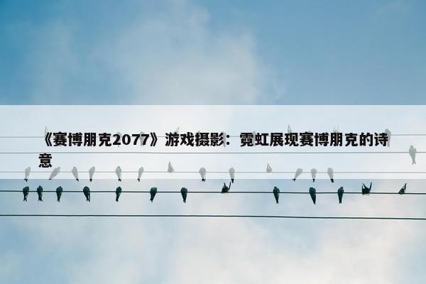 《赛博朋克2077》游戏摄影：霓虹展现赛博朋克的诗意