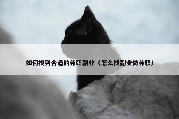 如何找到合适的兼职副业（怎么找副业做兼职）