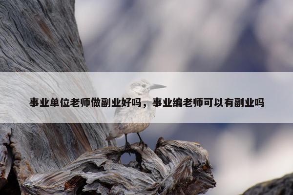 事业单位老师做副业好吗，事业编老师可以有副业吗