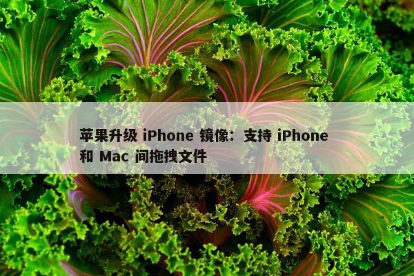 苹果升级 iPhone 镜像：支持 iPhone 和 Mac 间拖拽文件