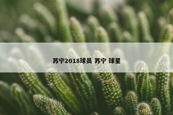 苏宁2018球员 苏宁 球星