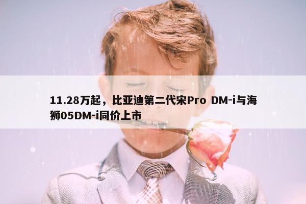 11.28万起，比亚迪第二代宋Pro DM-i与海狮05DM-i同价上市