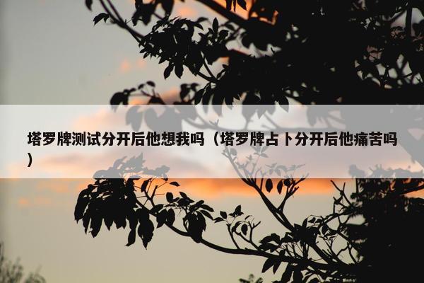 塔罗牌测试分开后他想我吗（塔罗牌占卜分开后他痛苦吗）