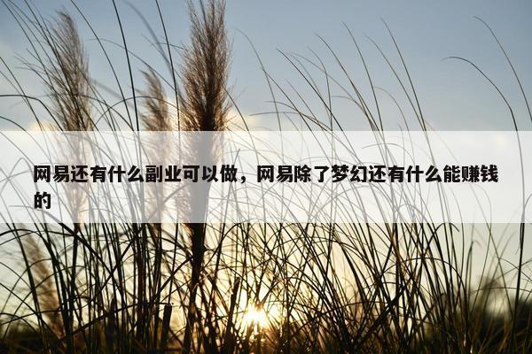 网易还有什么副业可以做，网易除了梦幻还有什么能赚钱的