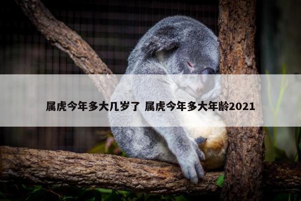 属虎今年多大几岁了 属虎今年多大年龄2021