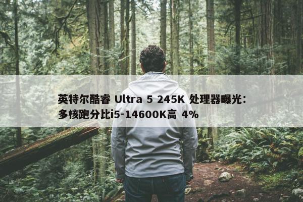 英特尔酷睿 Ultra 5 245K 处理器曝光：多核跑分比i5-14600K高 4%