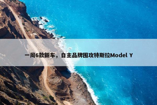 一周6款新车，自主品牌围攻特斯拉Model Y