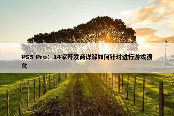 PS5 Pro：14家开发商详解如何针对进行游戏强化