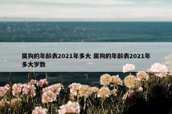 属狗的年龄表2021年多大 属狗的年龄表2021年多大岁数