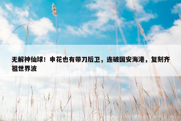 无解神仙球！申花也有带刀后卫，连破国安海港，复刻齐祖世界波