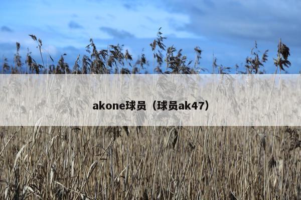 akone球员（球员ak47）