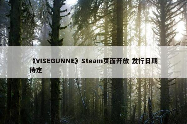 《VISEGUNNE》Steam页面开放 发行日期待定