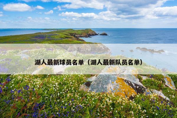 湖人最新球员名单（湖人最新队员名单）