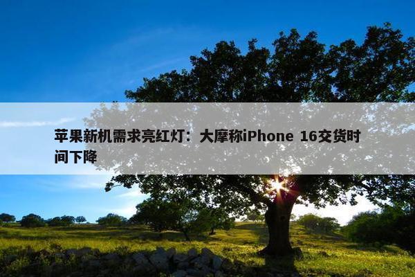 苹果新机需求亮红灯：大摩称iPhone 16交货时间下降