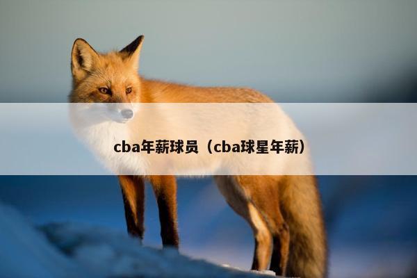 cba年薪球员（cba球星年薪）