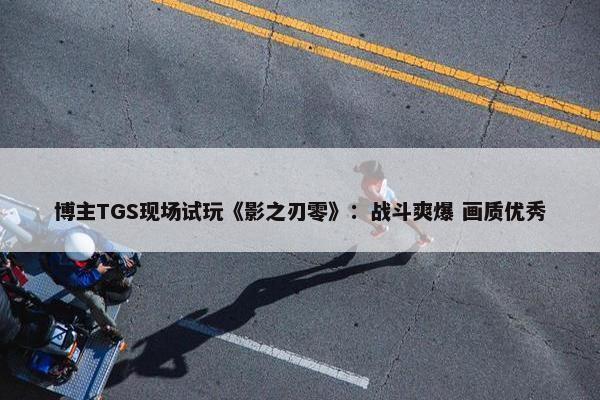 博主TGS现场试玩《影之刃零》：战斗爽爆 画质优秀