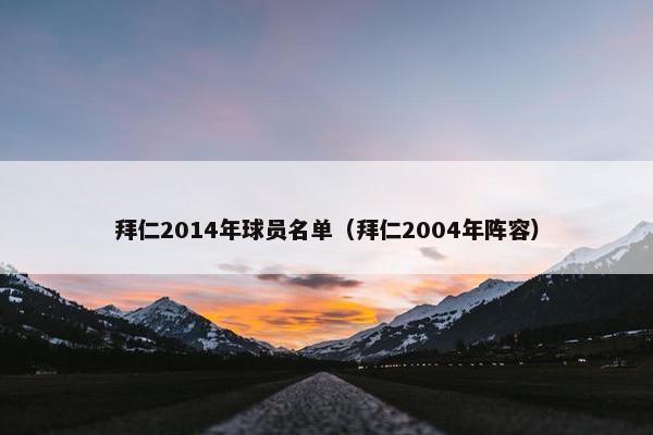 拜仁2014年球员名单（拜仁2004年阵容）