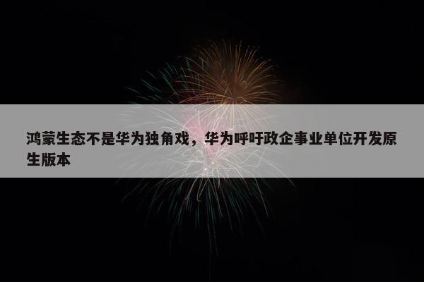 鸿蒙生态不是华为独角戏，华为呼吁政企事业单位开发原生版本 