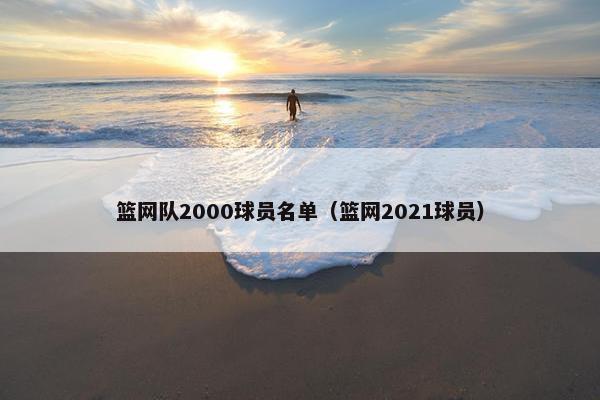 篮网队2000球员名单（篮网2021球员）