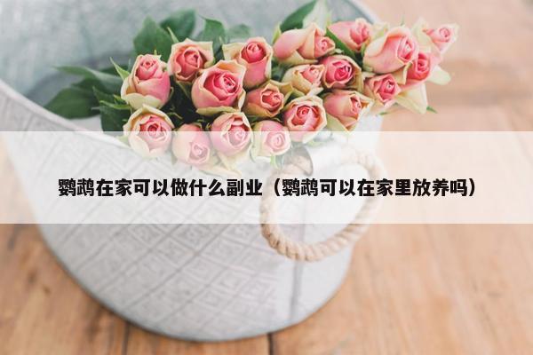 鹦鹉在家可以做什么副业（鹦鹉可以在家里放养吗）