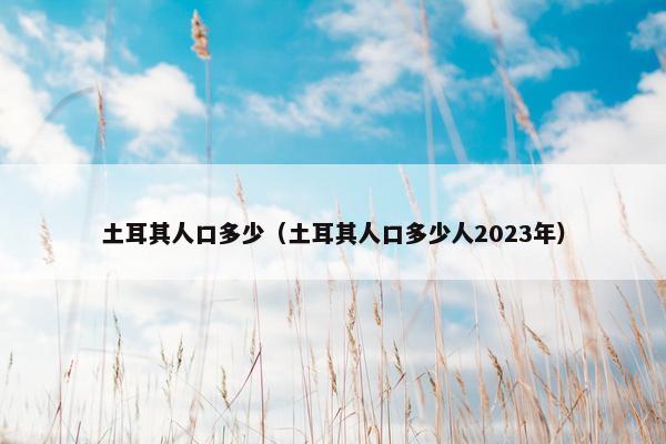 土耳其人口多少（土耳其人口多少人2023年）