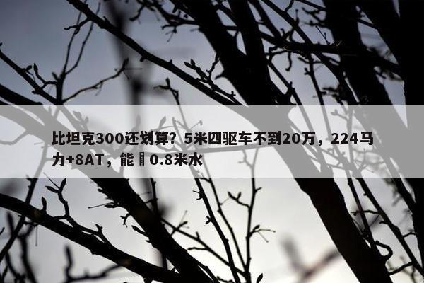 比坦克300还划算？5米四驱车不到20万，224马力+8AT，能蹚0.8米水