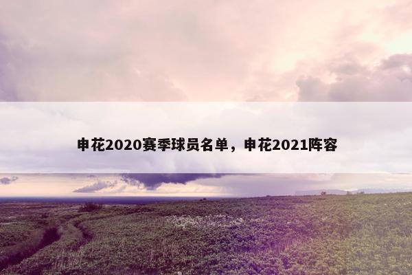 申花2020赛季球员名单，申花2021阵容