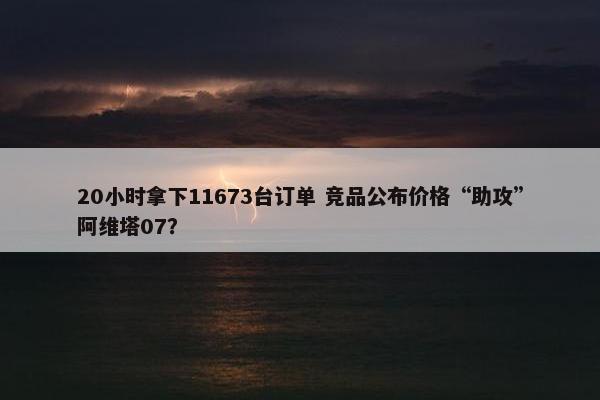 20小时拿下11673台订单 竞品公布价格“助攻”阿维塔07？