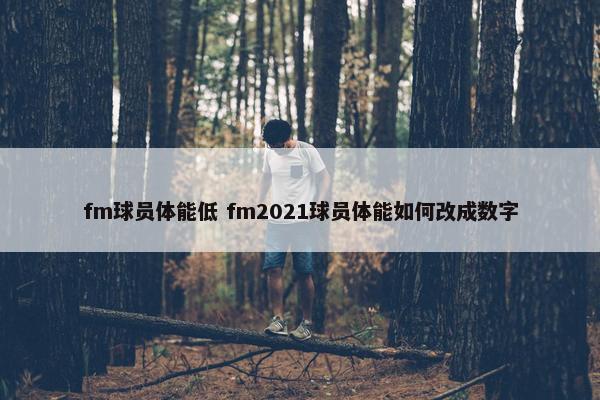 fm球员体能低 fm2021球员体能如何改成数字