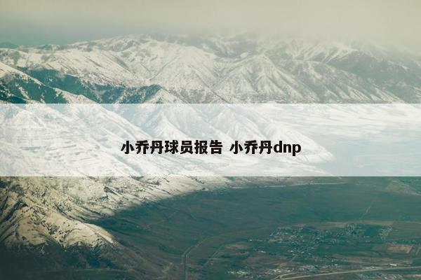 小乔丹球员报告 小乔丹dnp