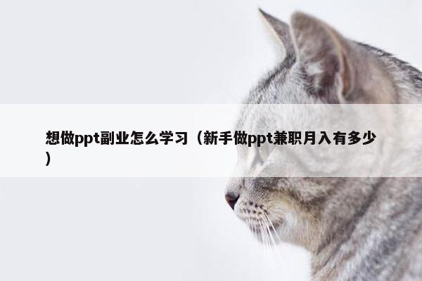 想做ppt副业怎么学习（新手做ppt兼职月入有多少）