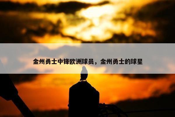 金州勇士中锋欧洲球员，金州勇士的球星