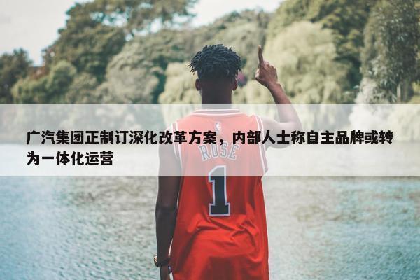 广汽集团正制订深化改革方案，内部人士称自主品牌或转为一体化运营