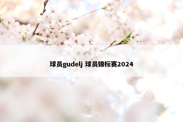 球员gudelj 球员锦标赛2024