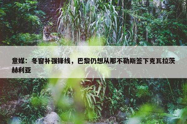 意媒：冬窗补强锋线，巴黎仍想从那不勒斯签下克瓦拉茨赫利亚