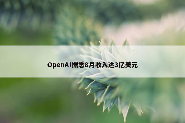 OpenAI据悉8月收入达3亿美元