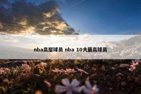 nba高层球员 nba 10大最高球员