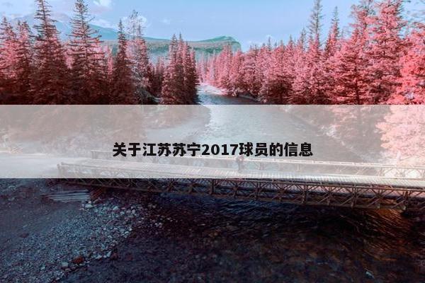 关于江苏苏宁2017球员的信息