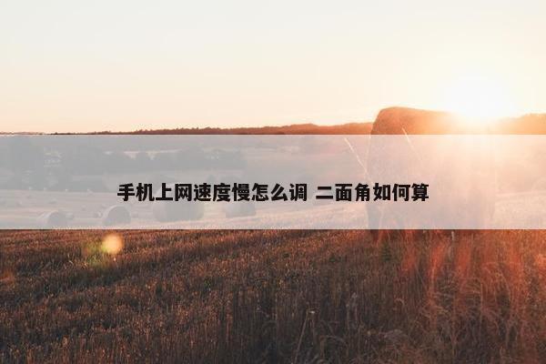 手机上网速度慢怎么调 二面角如何算