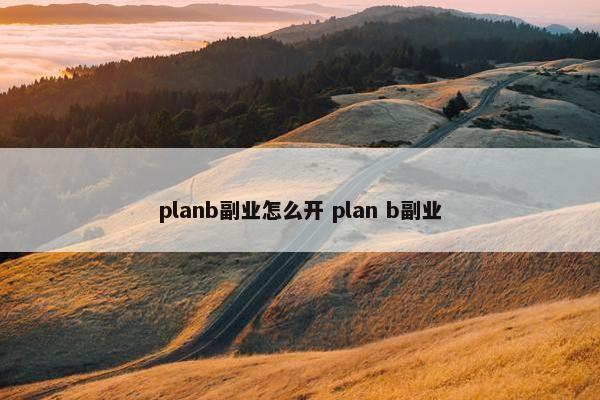 planb副业怎么开 plan b副业