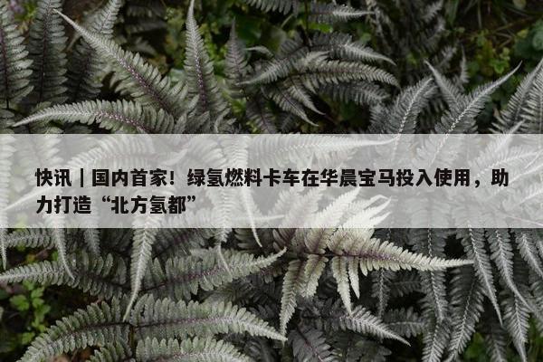 快讯｜国内首家！绿氢燃料卡车在华晨宝马投入使用，助力打造“北方氢都”