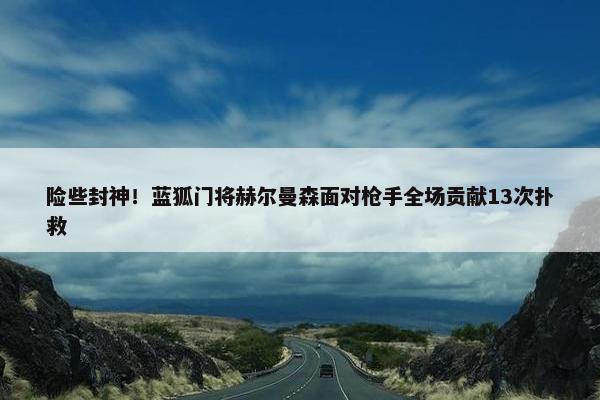 险些封神！蓝狐门将赫尔曼森面对枪手全场贡献13次扑救