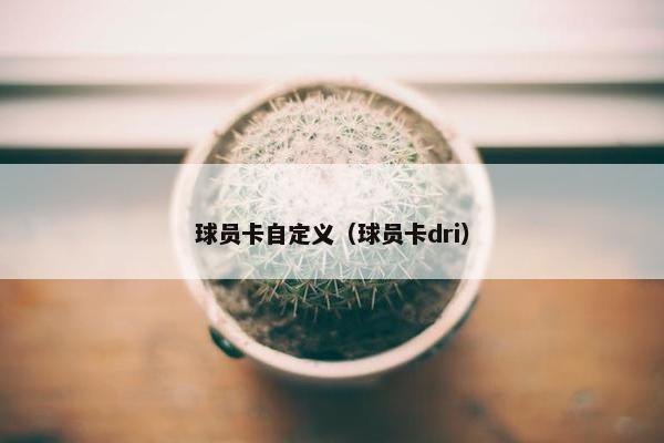 球员卡自定义（球员卡dri）