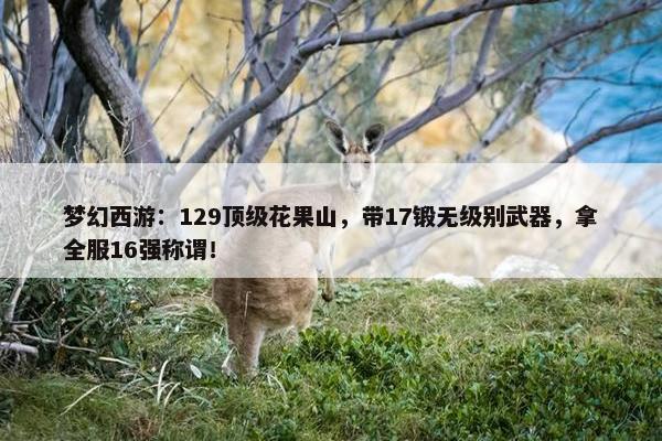 梦幻西游：129顶级花果山，带17锻无级别武器，拿全服16强称谓！