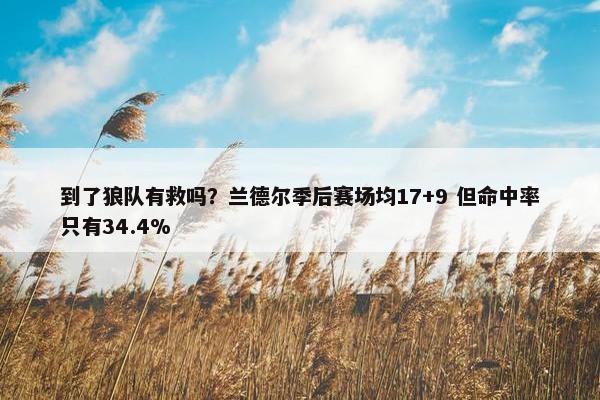 到了狼队有救吗？兰德尔季后赛场均17+9 但命中率只有34.4%