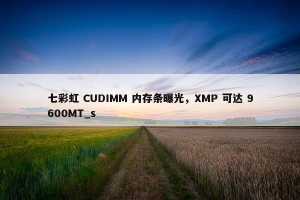 七彩虹 CUDIMM 内存条曝光，XMP 可达 9600MT_s